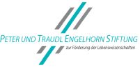 engelhorn_stiftung